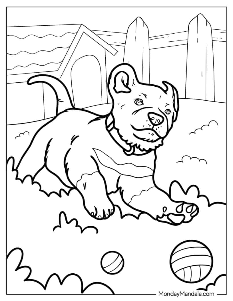Rottweiler Puppy Running In Backyard coloring page