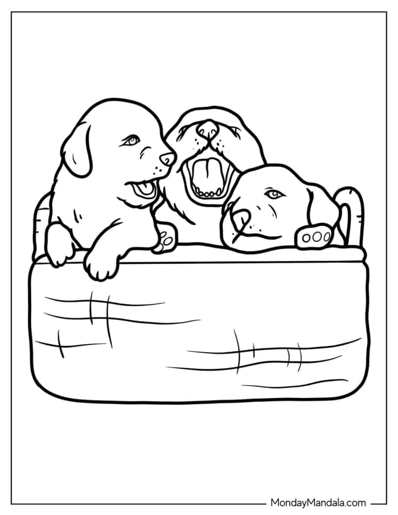 Three Puppies In Basket coloring page