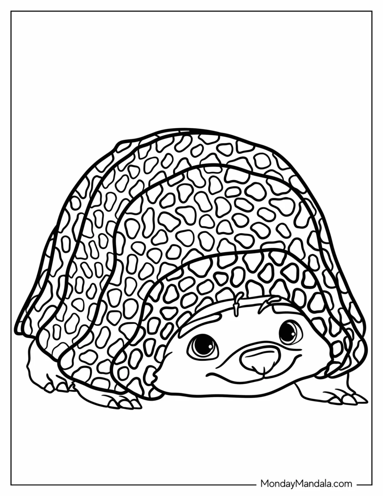 Raya And The Last Dragon Coloring Page Of Kawaii Tuk Tuk The Armadillo For Kids coloring page