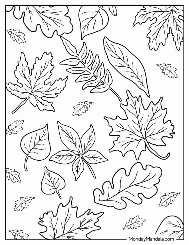 Assorted Fall Leaves To Color coloring page