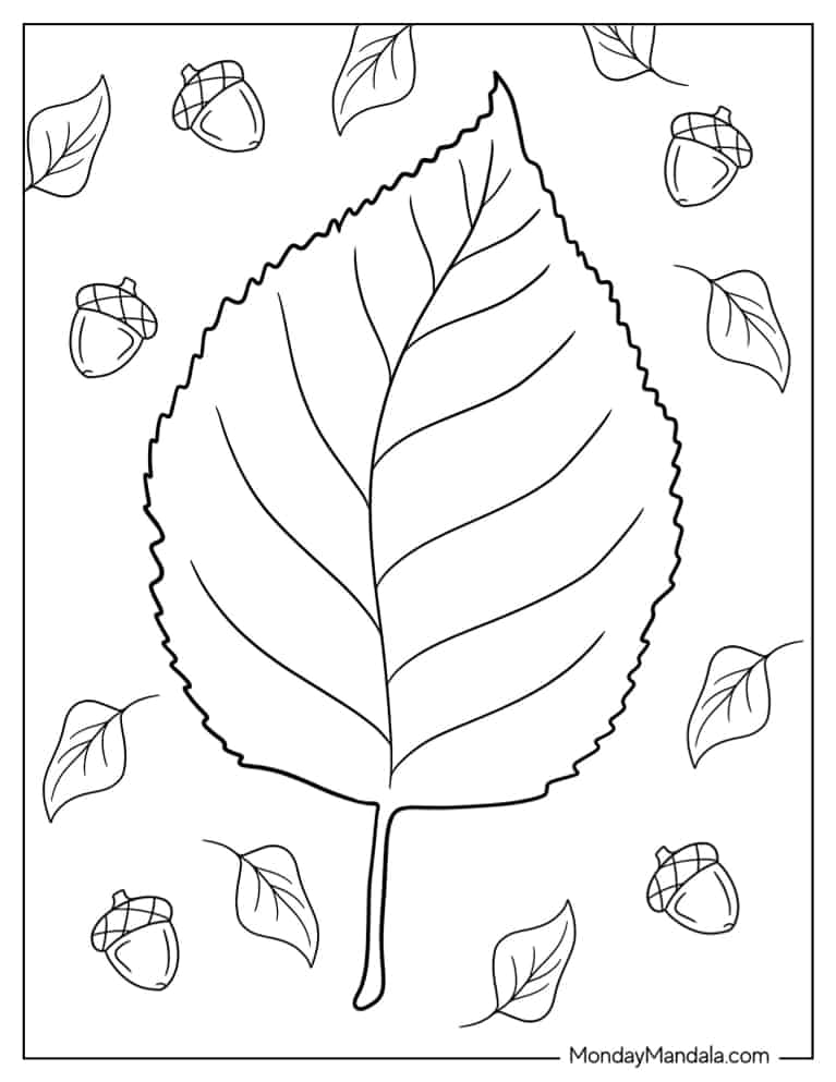 Beech Fall Leaf To Color coloring page — printable line art
