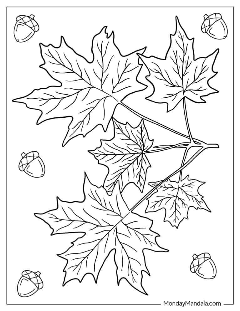 Coloring Sheet Of Fall Fall Leaves With Acorns coloring page — printable line art