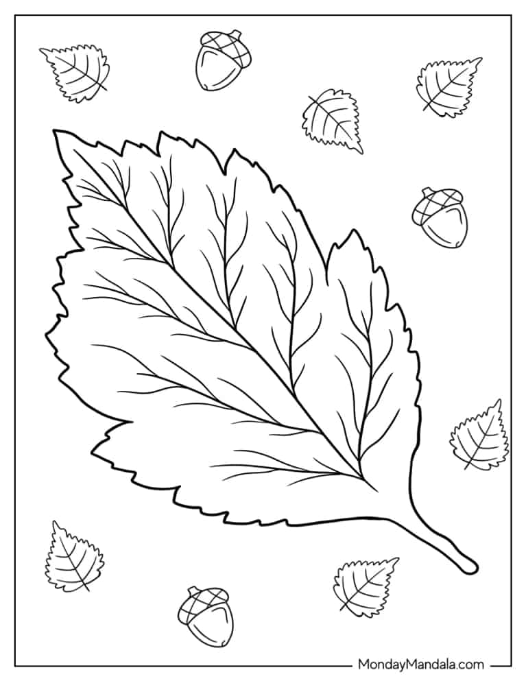 Easy American Hornbeam Leaf To Color For Preschoolers coloring page