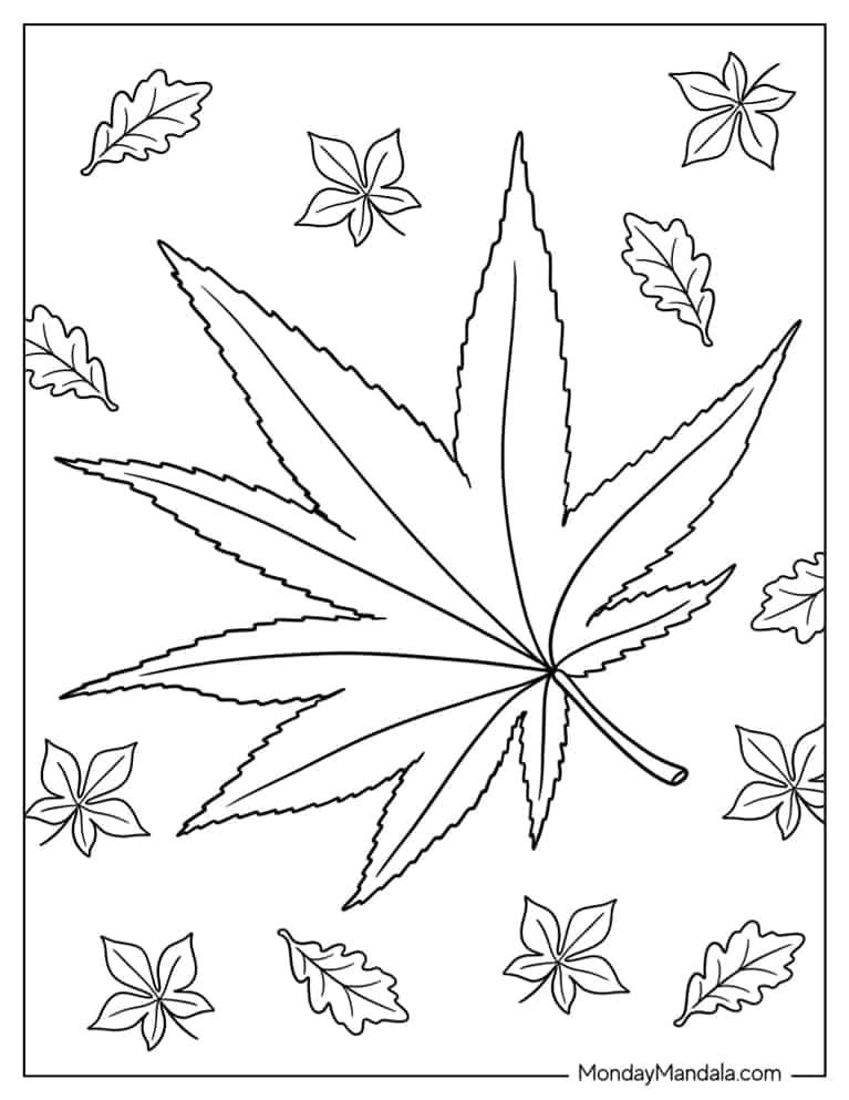 Japanese Maple Fall Leaf coloring page