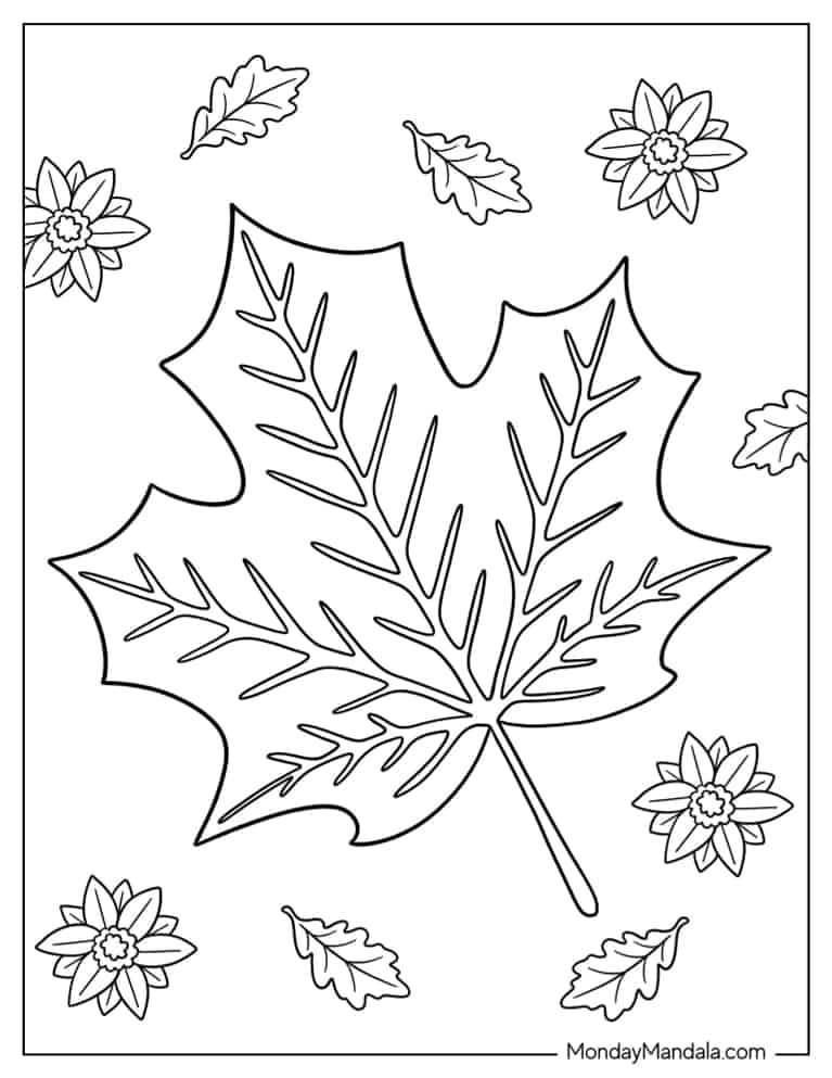 Realistic Autumn Leaf To Color coloring page