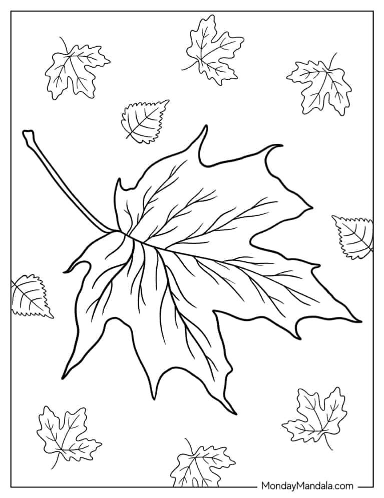 Realistic Fall Maple Leaf coloring page