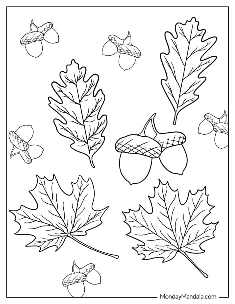 Simple To Color Fall Leaves For Kids coloring page