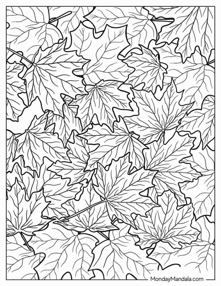 Sugar Maple Leaves On Ground To Color coloring page