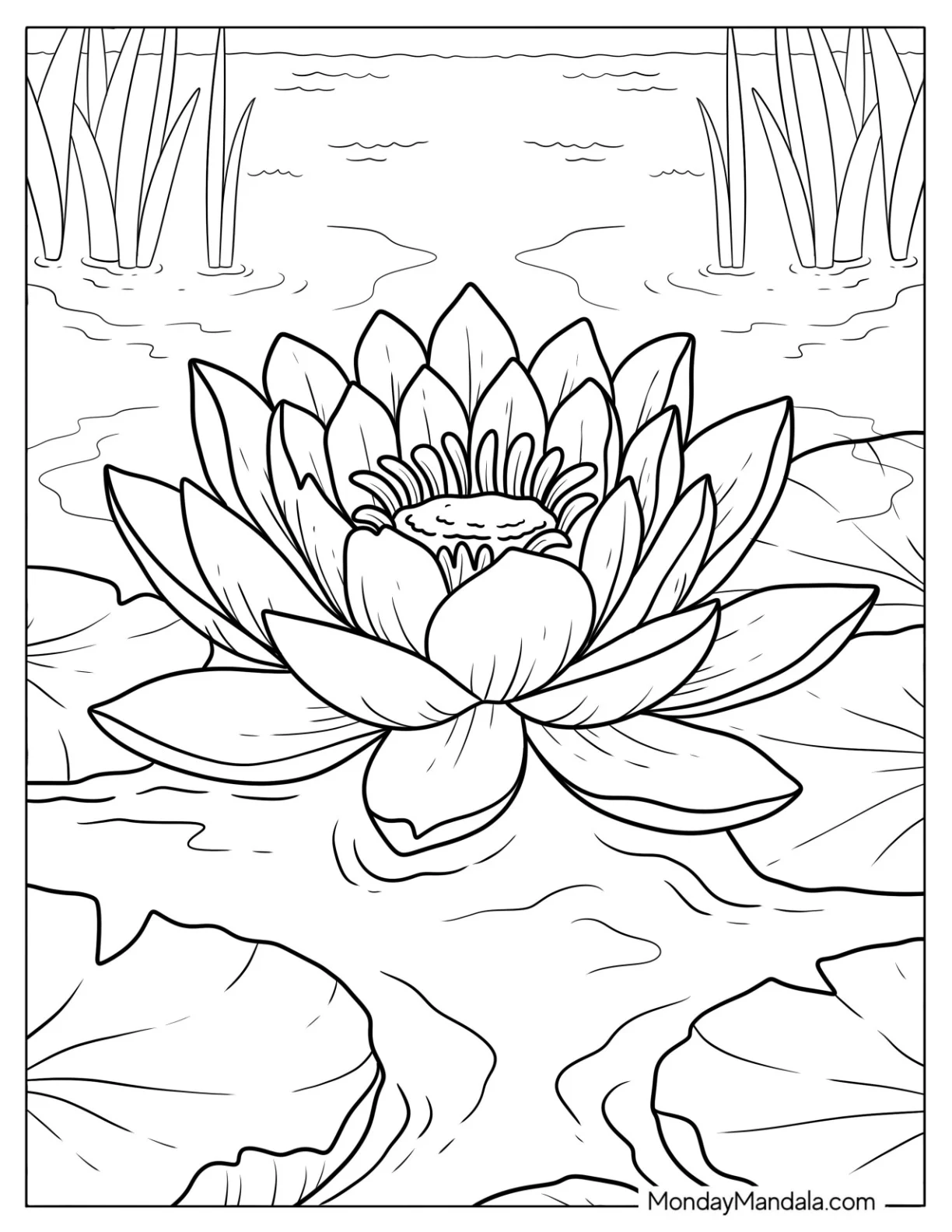 Big Water Lily Flower on a Pond Coloring Sheet for Kids coloring page — printable line art