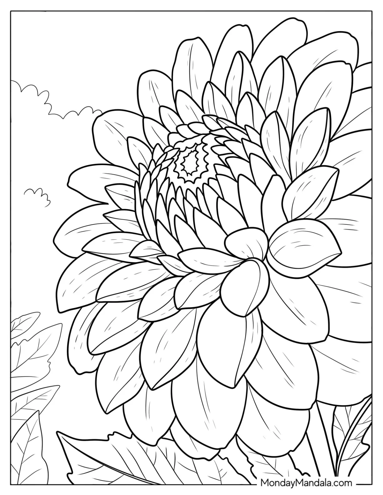 Dahlia Flower Close Up Coloring Sheet coloring page — printable line art