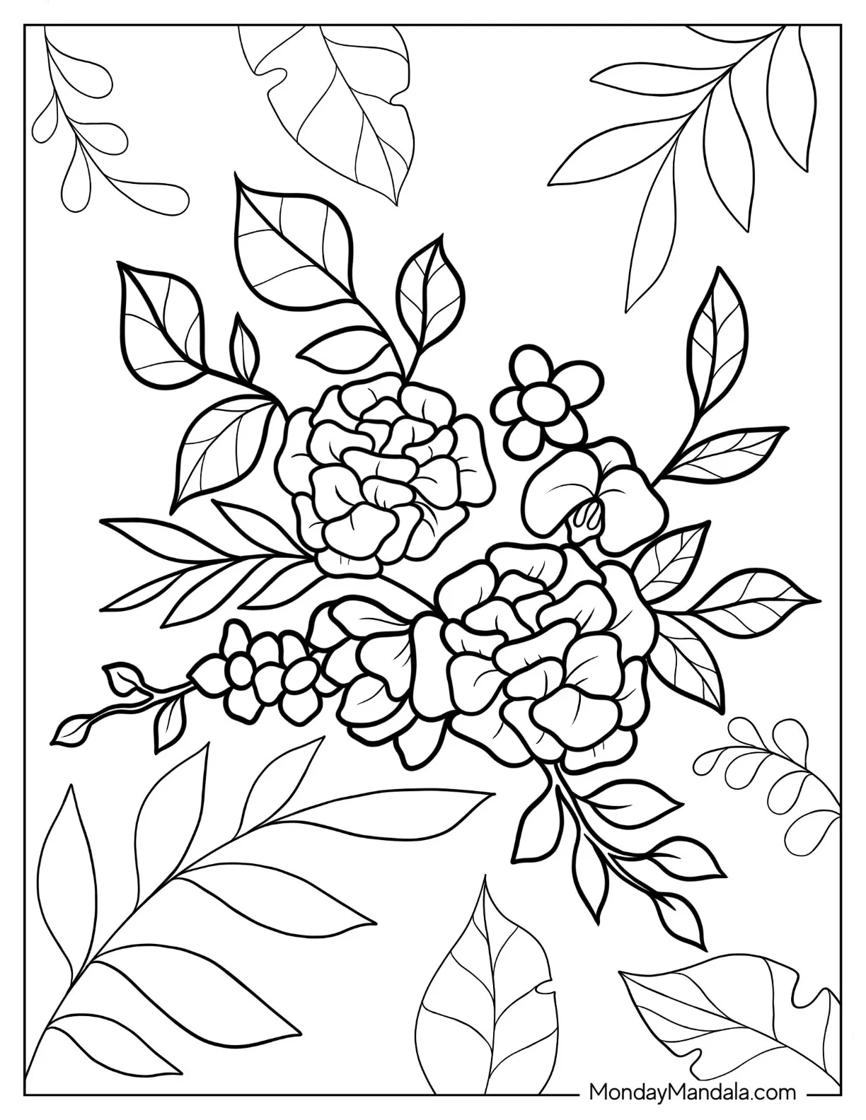 Flower Coloring Pages Of Classic White Peony, Orchid, Hydrangea, And Magnolia coloring page — printable line art