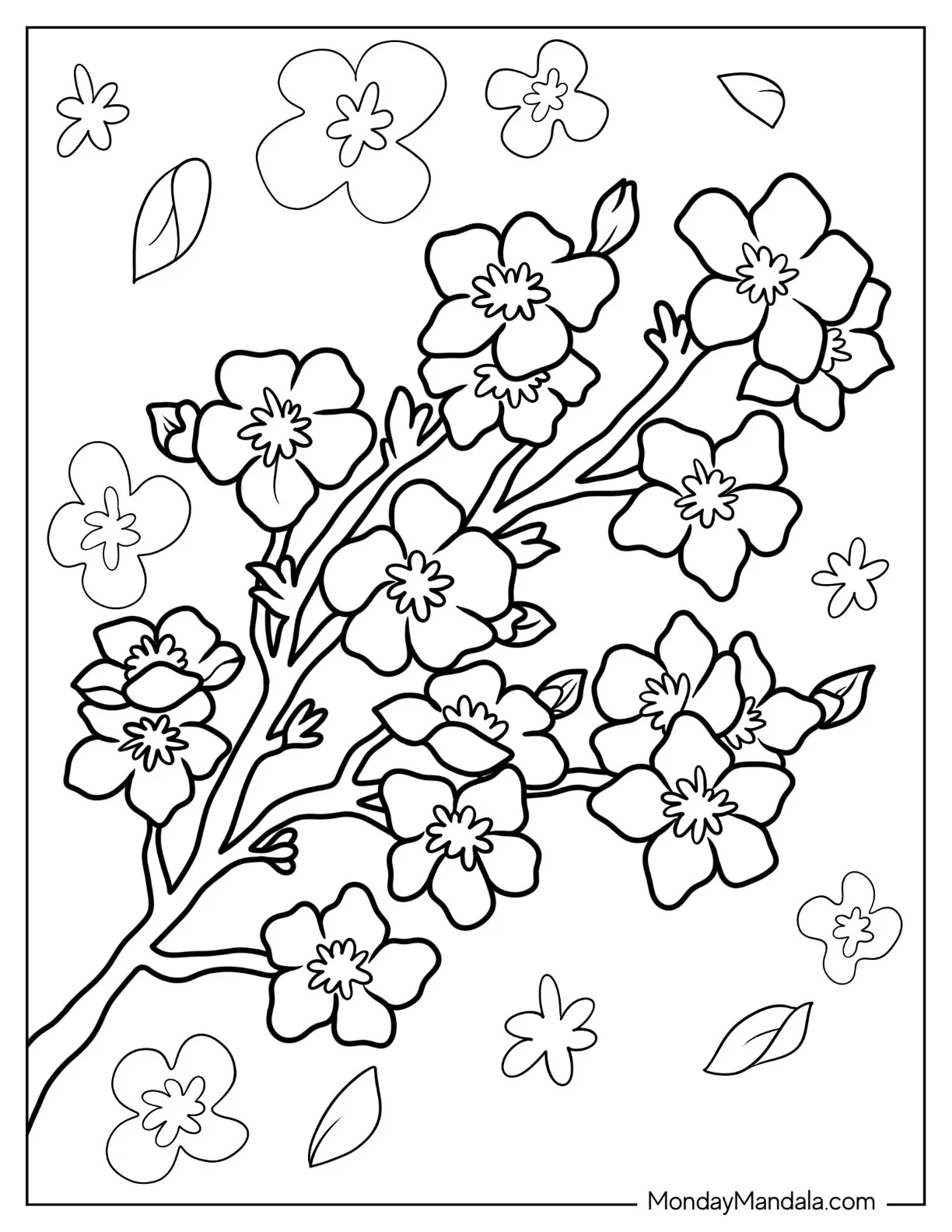 Flower Coloring Pages Of Easy Cherry Blossoms For Kids coloring page — printable line art