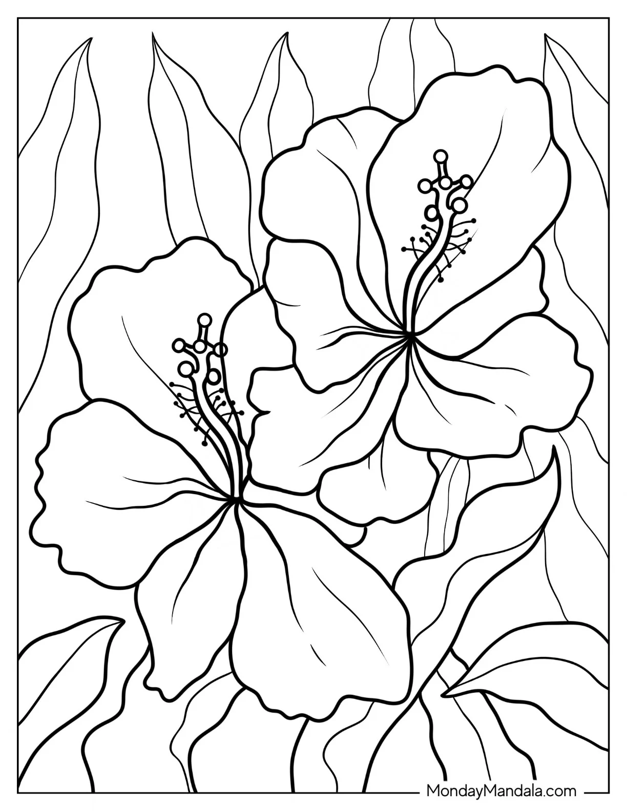 Flower Coloring Pages Of Large Hibiscus Among Leaves coloring page — printable line art