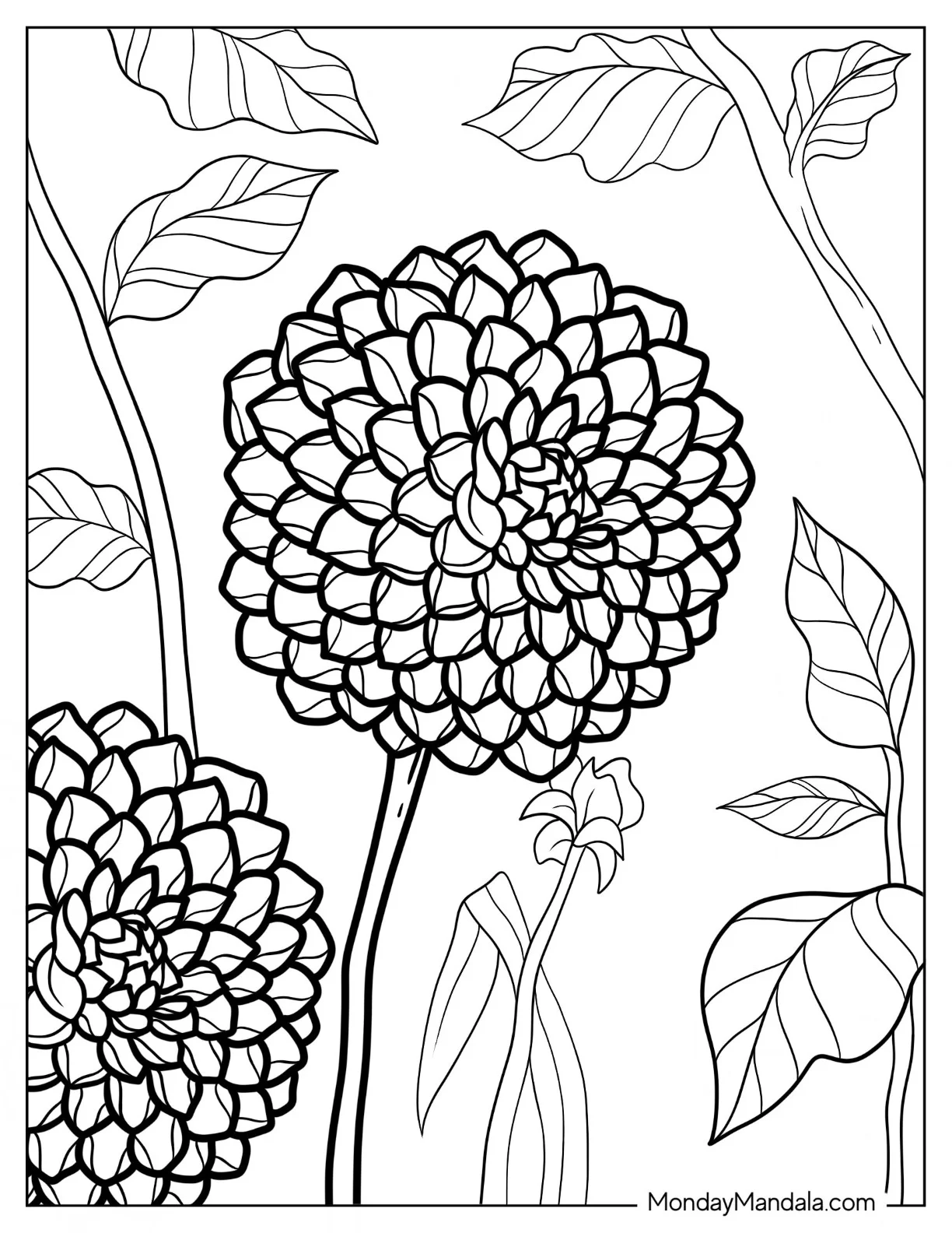 Flower Coloring Pages Of Linda s Baby Dahlia coloring page — printable line art