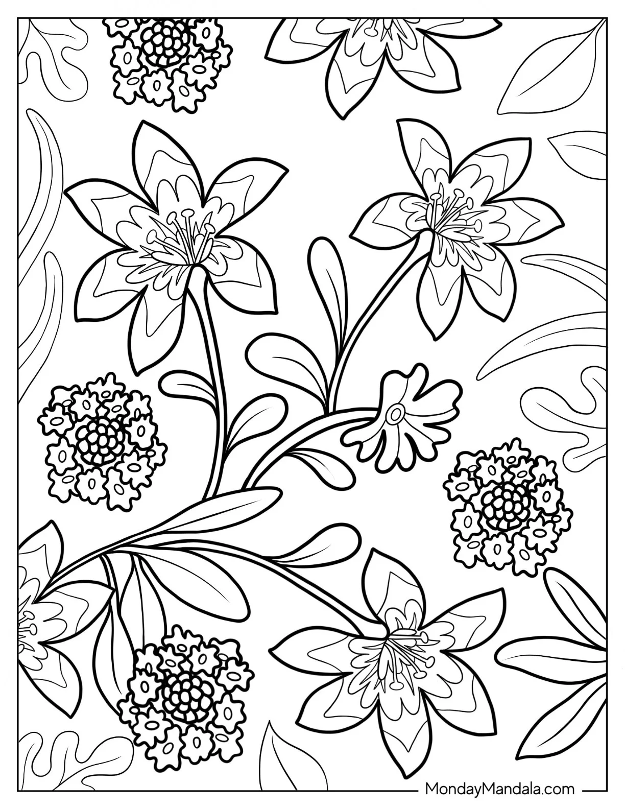 Flower Coloring Pages Of Madonna Lilies coloring page — printable line art