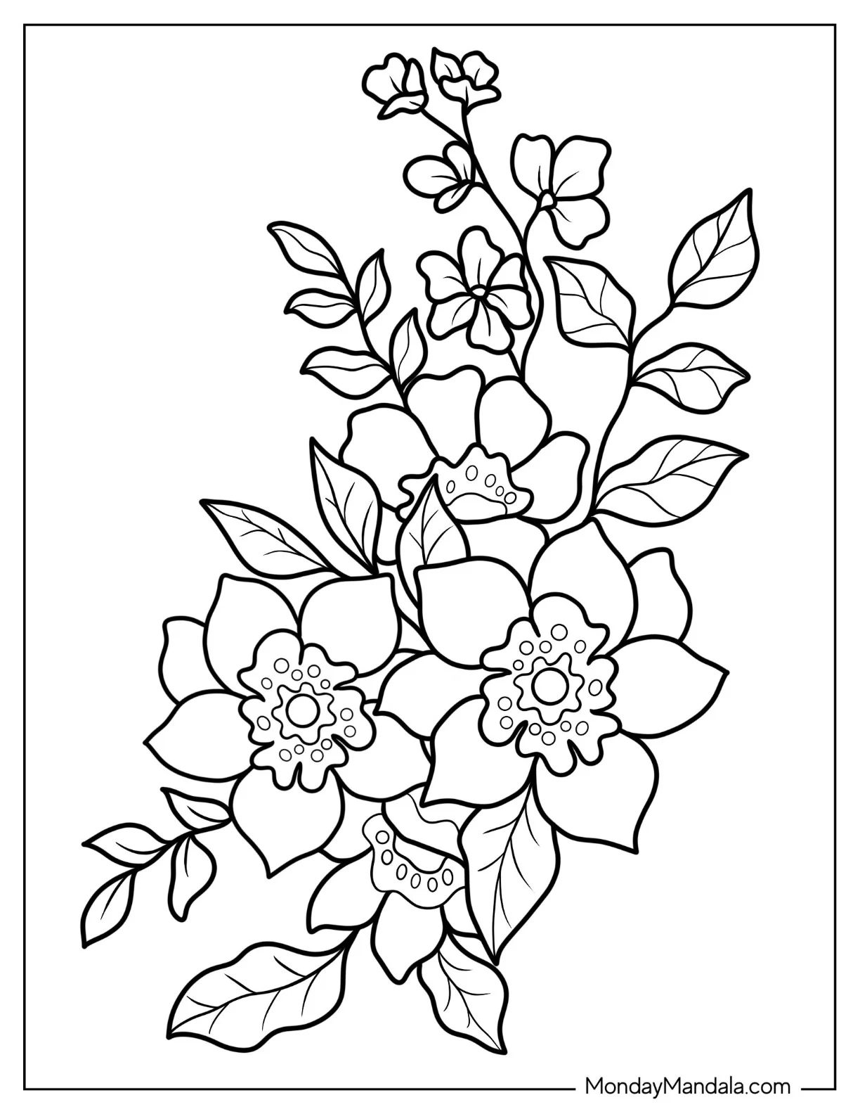 Flower Coloring Pages Of Mariposa Lilies Outline coloring page