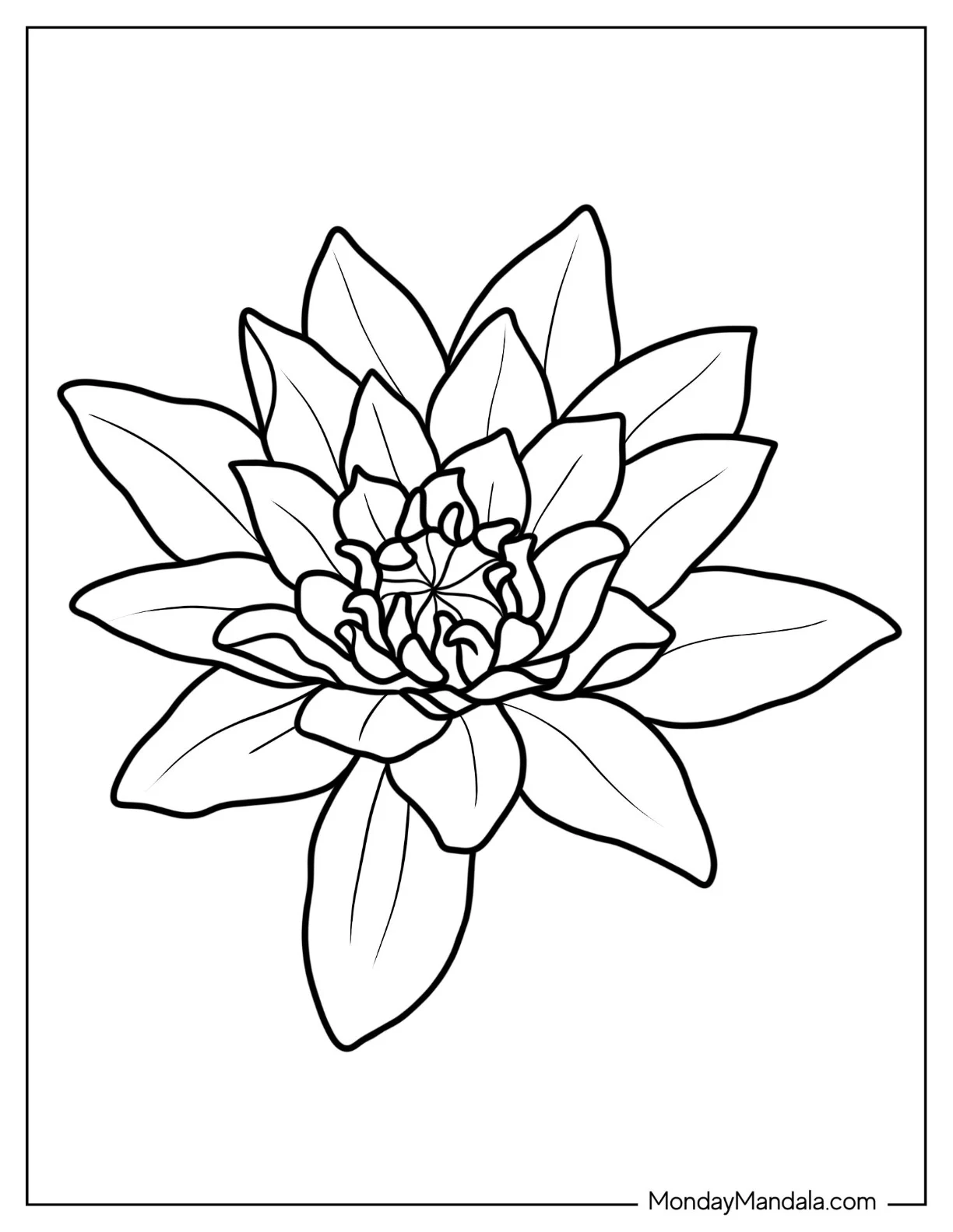 Flower Coloring Pages Of Midnight Water Lily coloring page — printable line art