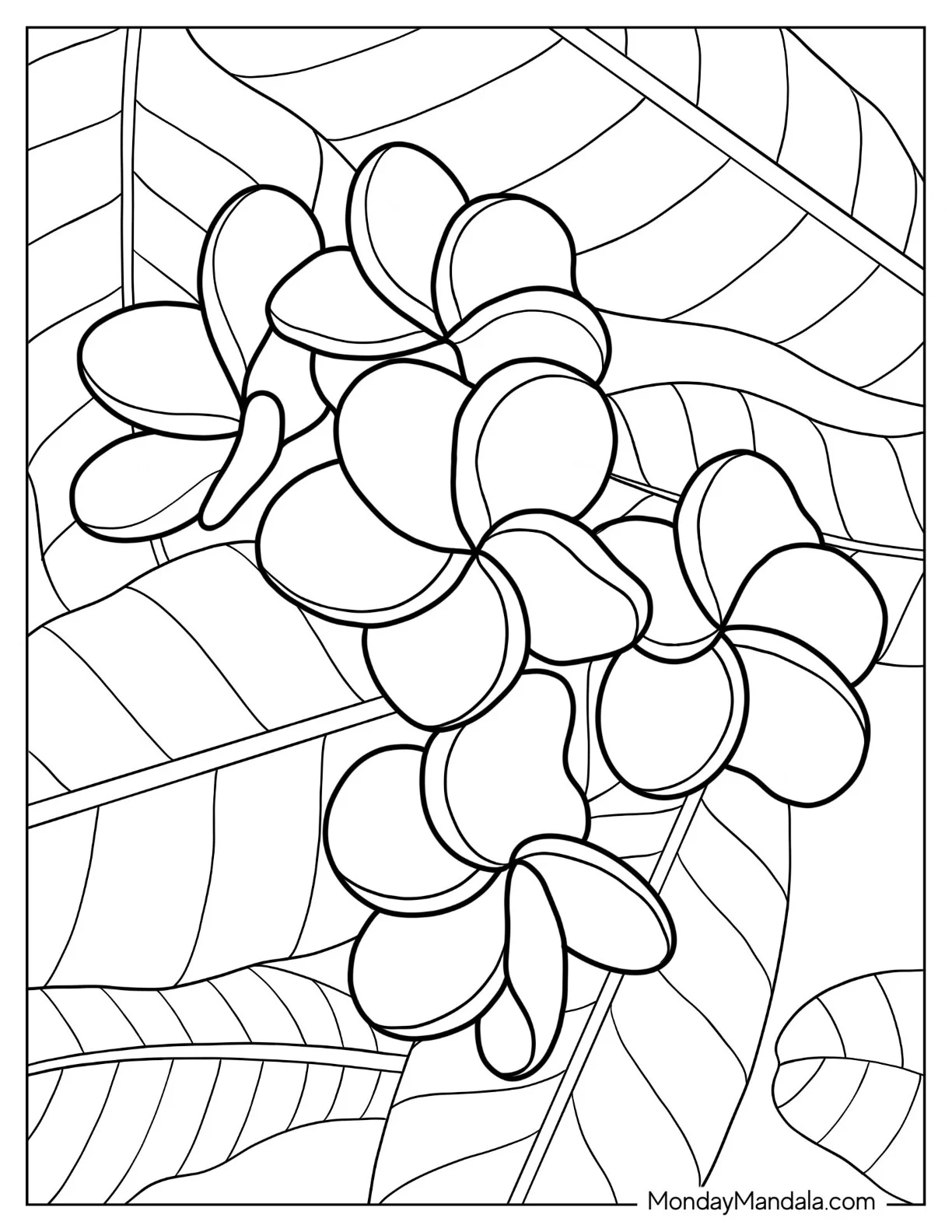 Flower Coloring Pages Of Plumerias On Large Leaves coloring page
