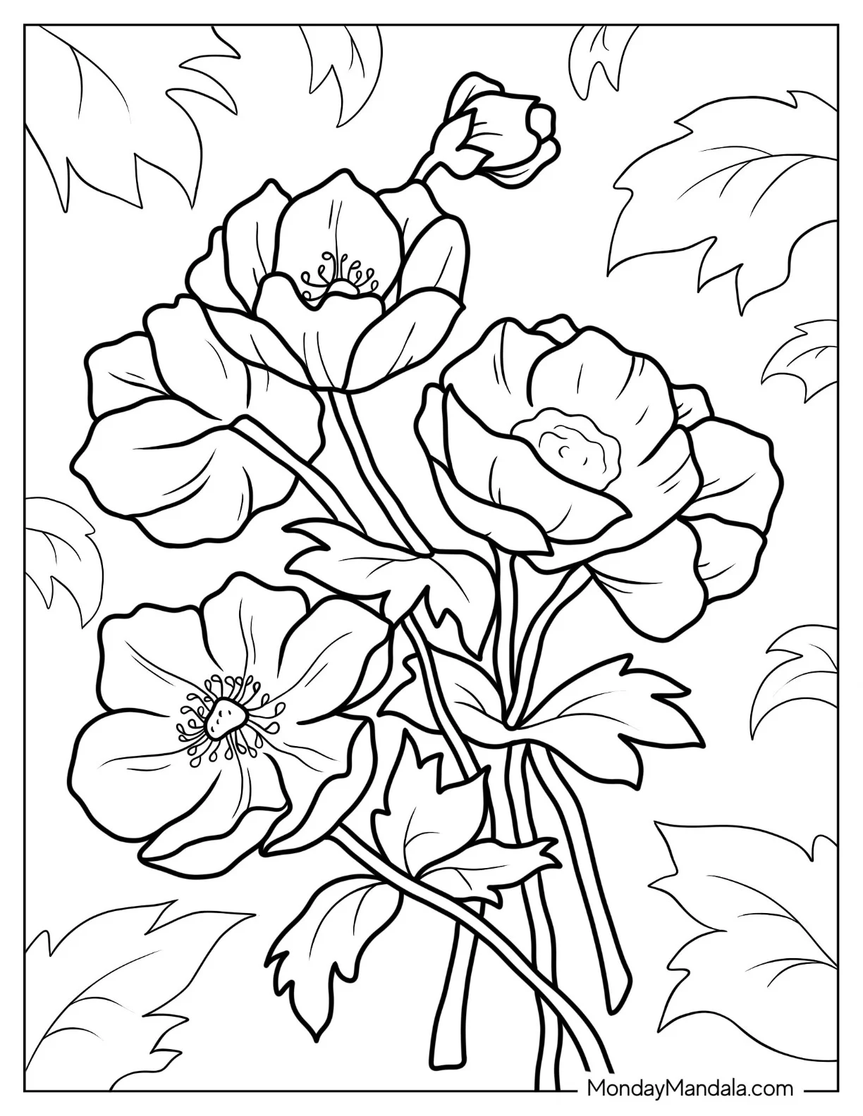 Flower Coloring Pages Of Poppy Anemones coloring page — printable line art