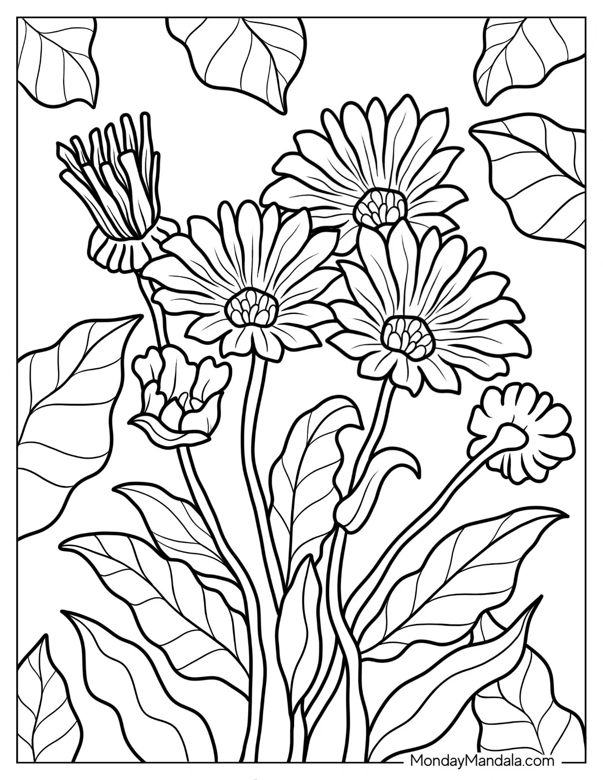 Flower Coloring Pages Of Realistic Pot Marigolds coloring page
