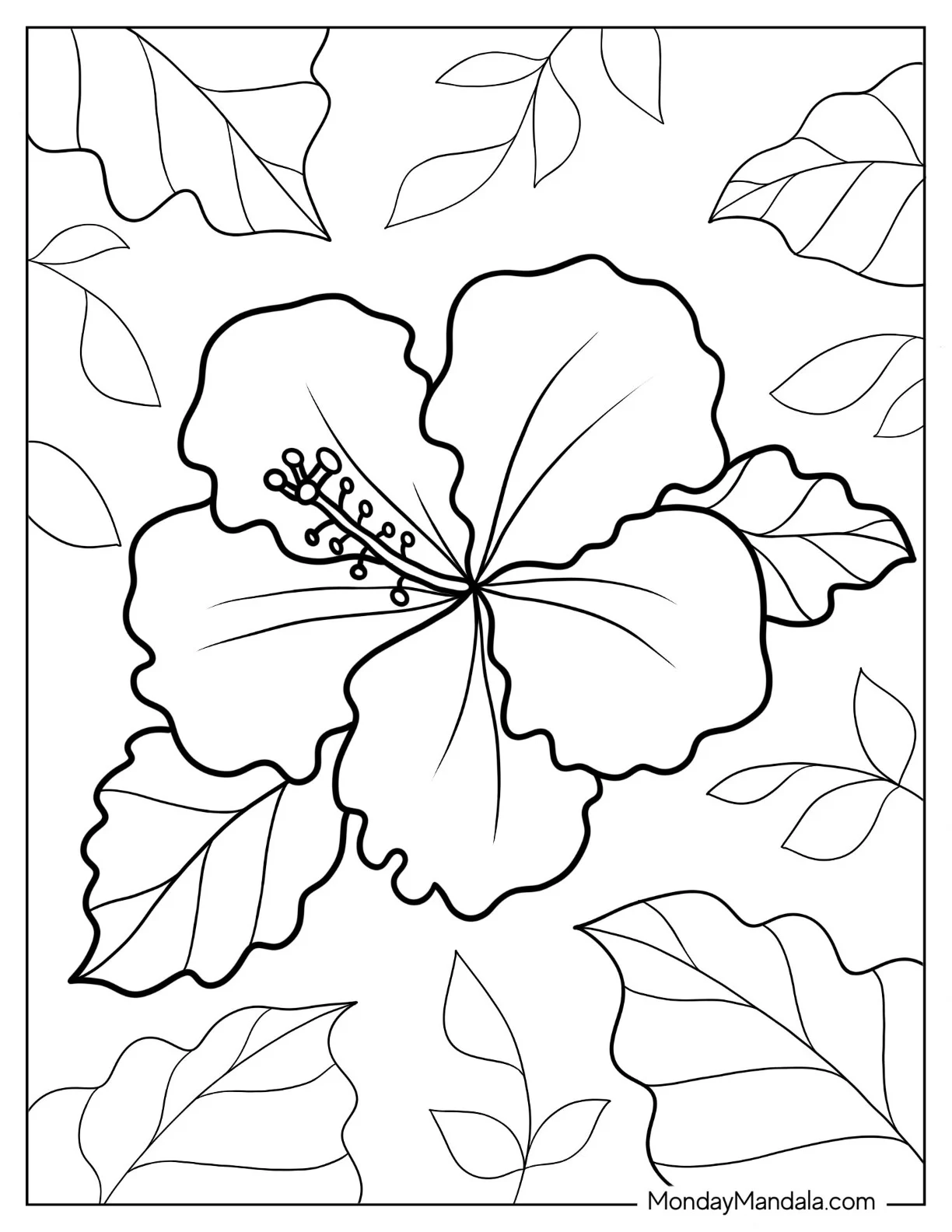 Flower Coloring Pages Of Shoeblackplant In Full Bloom coloring page — printable line art