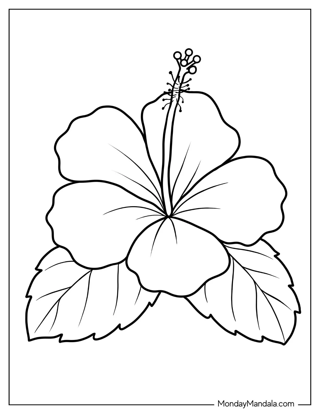 Flower Coloring Pages Of Swamp Rose Mallow Outline coloring page