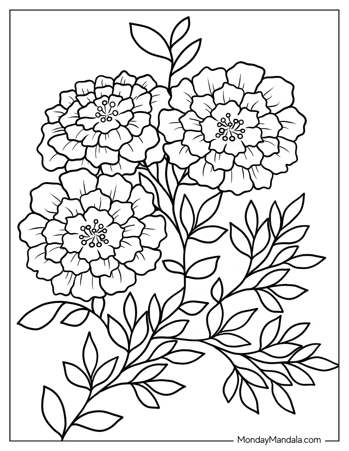 Flower Coloring Pages Of Three Marigold coloring page — printable line art