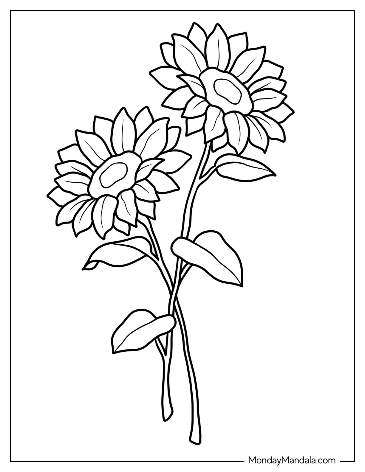 Flower Coloring Pages Of Two Large Sunflowers coloring page