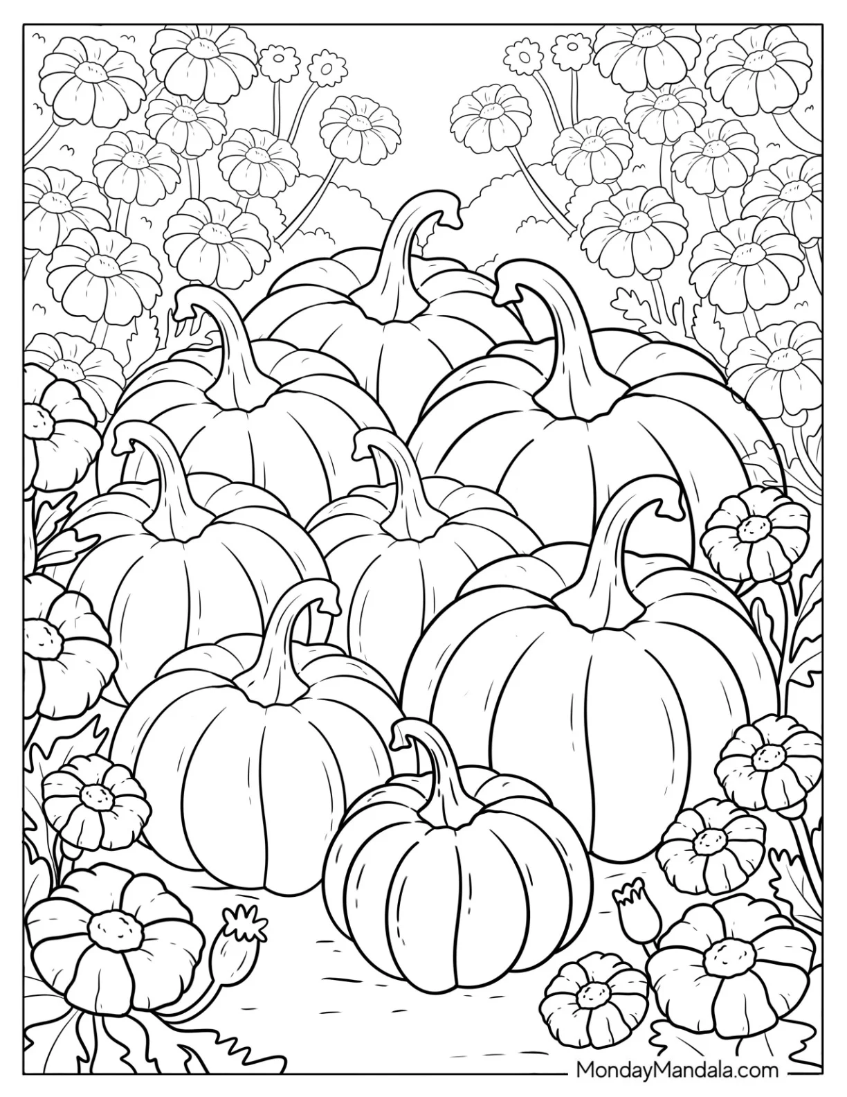 Large Pumpkins Surrounded by Flower Coloring Page in a Field coloring page — printable line art