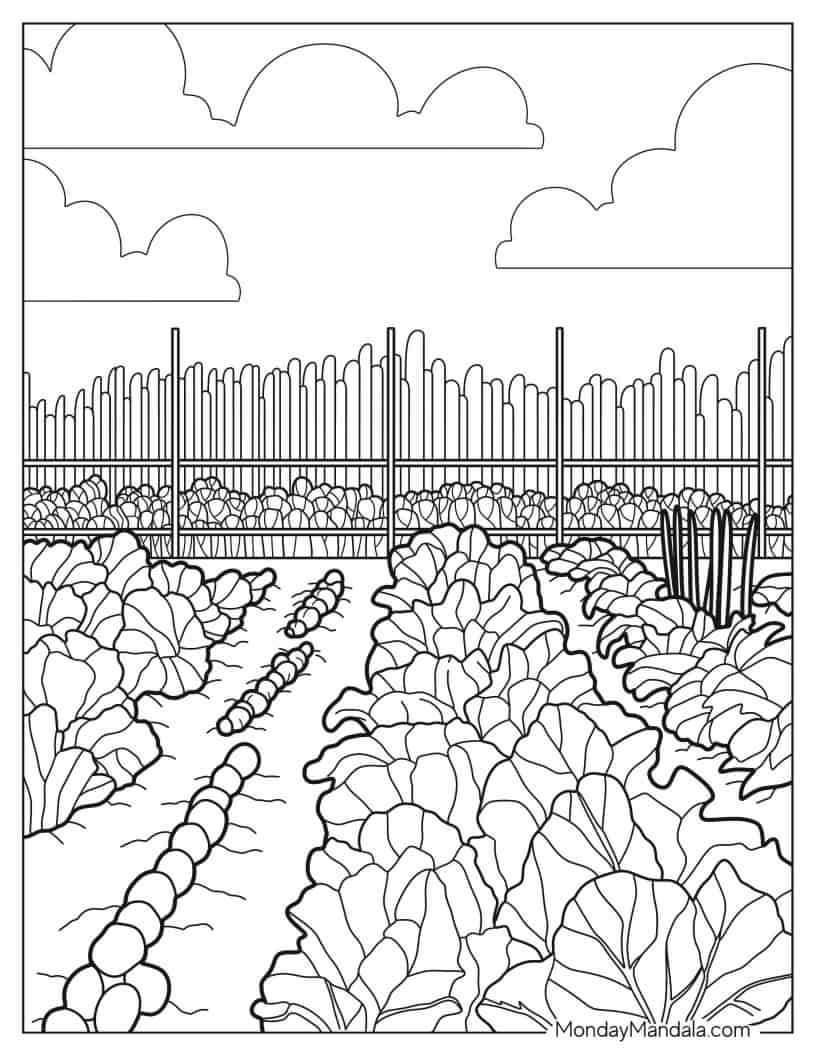 Detailed Vegetable Garden To Color coloring page — printable line art