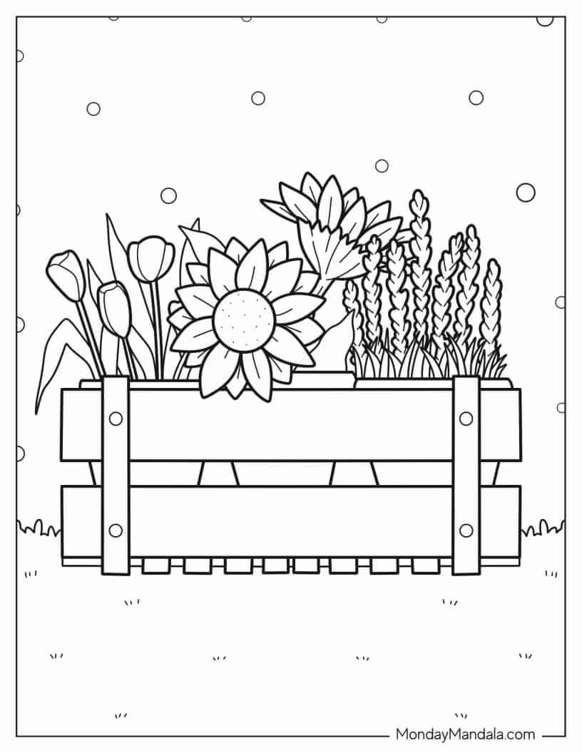Outline Of Flowers In Garden Box Coloring In coloring page