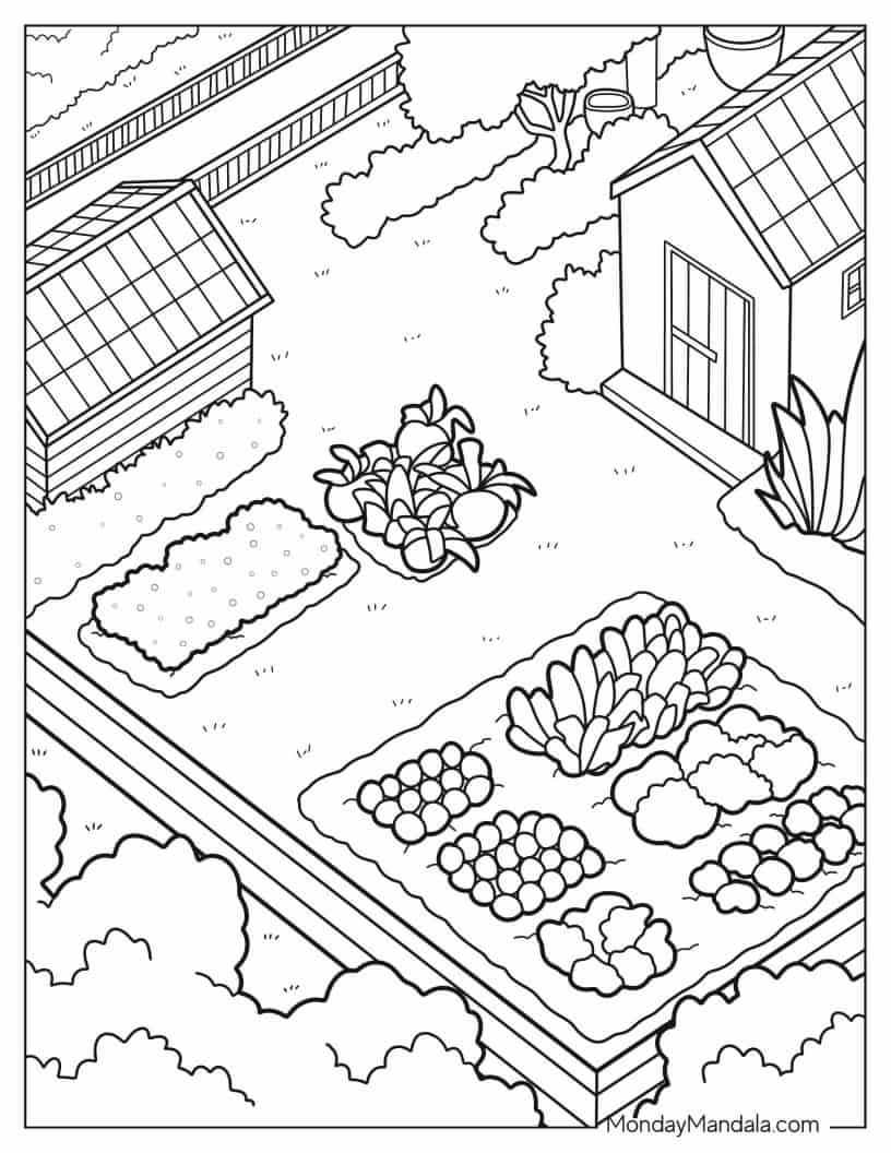 Simple Outline Of Vegetable Garden With Shed coloring page