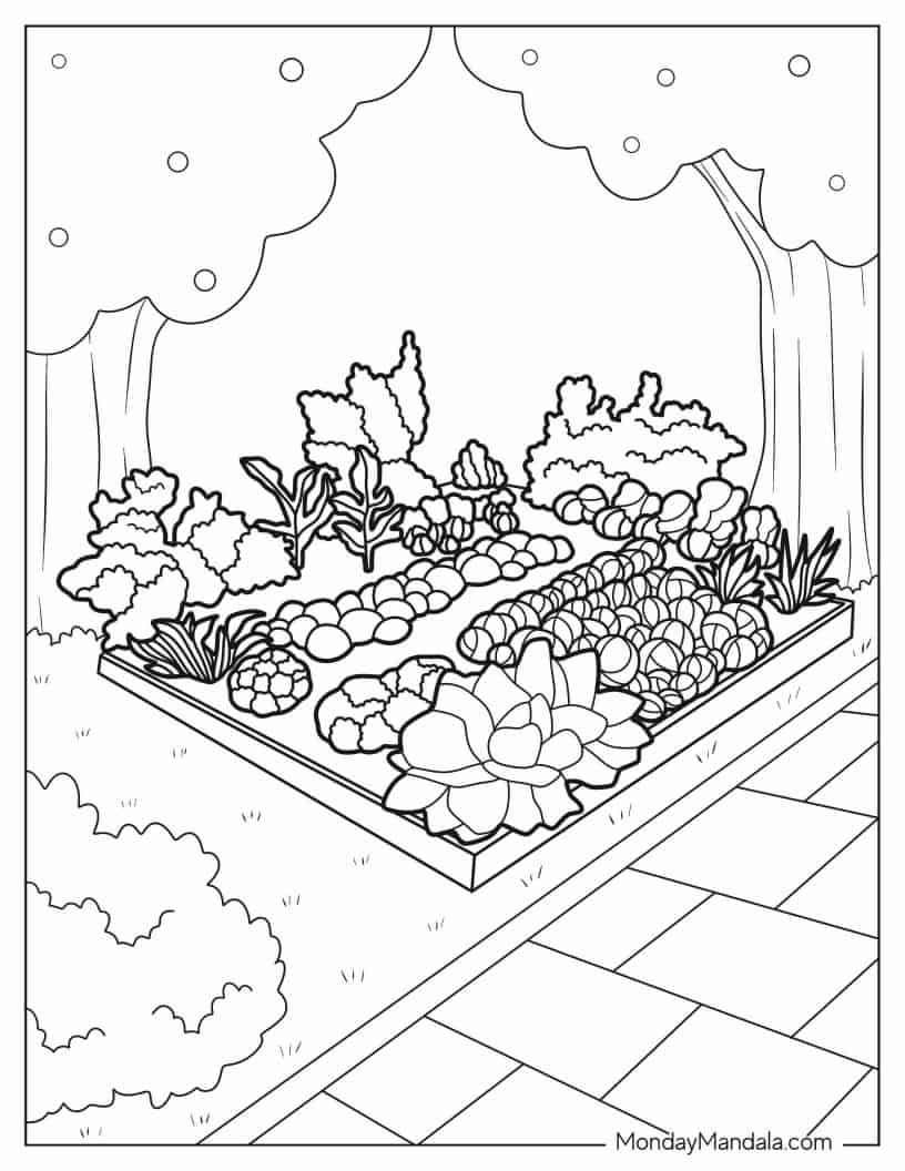 Square Vegetable Patch coloring page