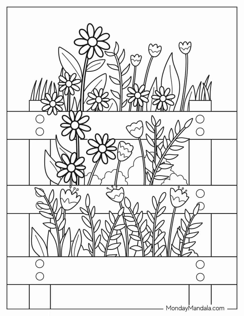 Tiers Of Flower Boxes In Garden coloring page