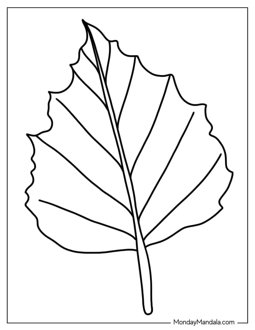 Aspen Leaf Coloring Sheet coloring page