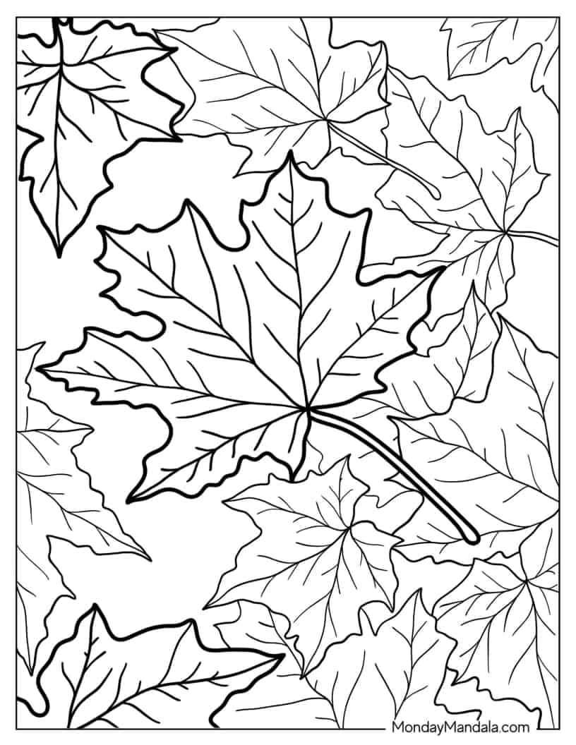 Autumn Maple Leaves coloring page — printable line art