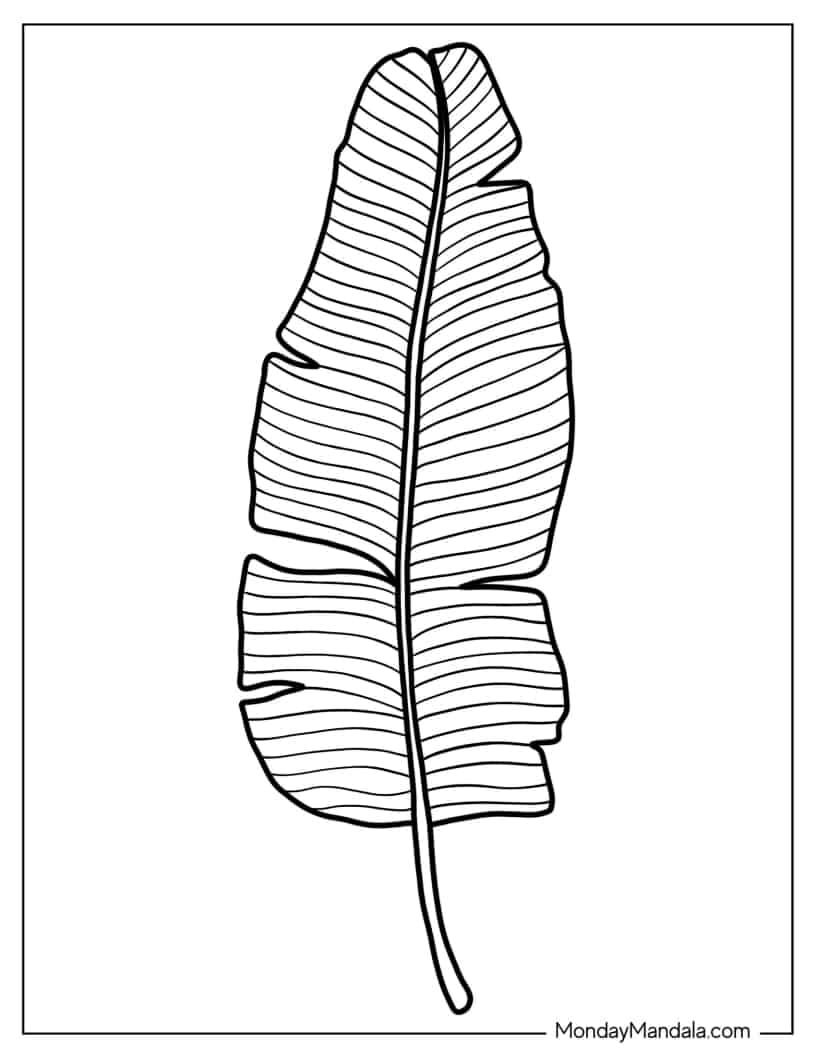 Banana Leaf Coloring Sheet coloring page — printable line art