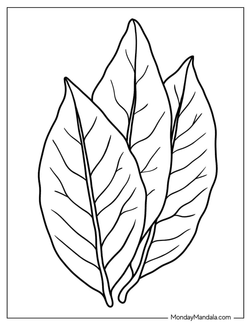 Bird Cherry Leaf Coloring Page coloring page — printable line art