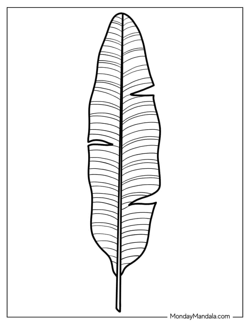 Bird Of Paradise Leaf Coloring Page coloring page — printable line art