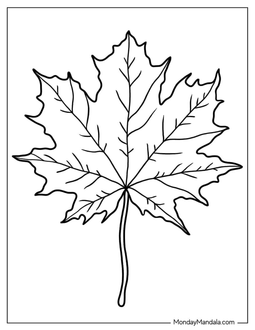Canadian Maple Leaf coloring page — printable line art