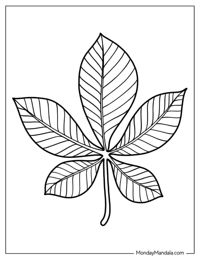Chestnut Leaf Coloring Page coloring page — printable line art