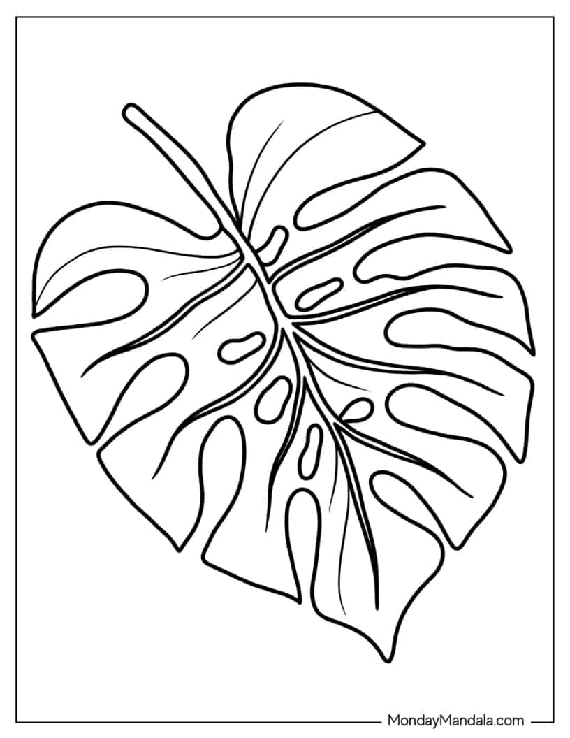 Coloring Page Of a Monstera Leaf coloring page — printable line art