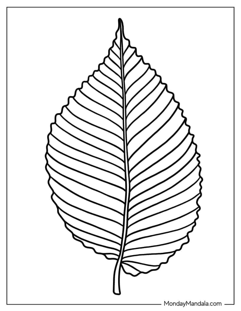 Elm Leaf To Color coloring page — printable line art