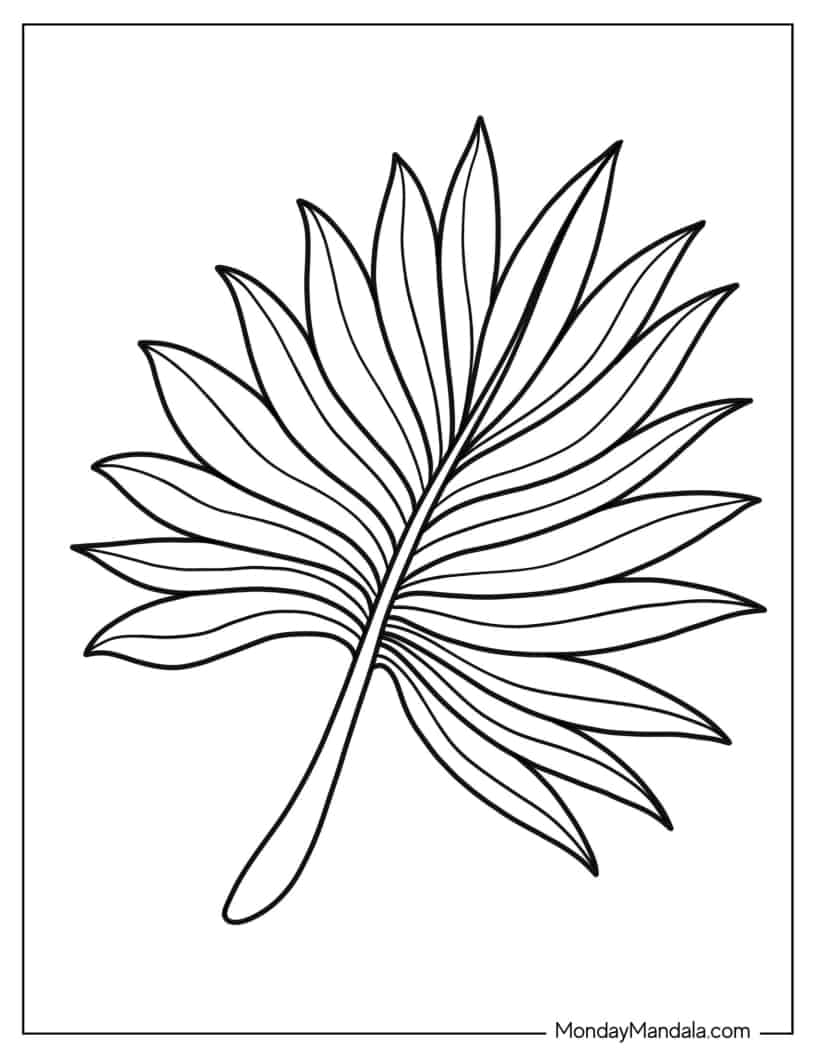 Fan Shaped Leaf coloring page — printable line art