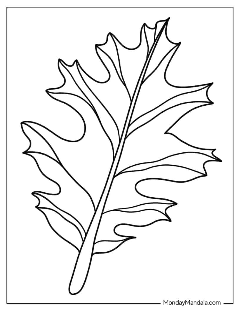 Holly Leaf To Color coloring page