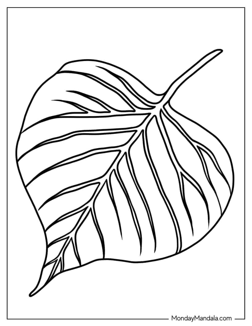 Large Aspen Leaf coloring page