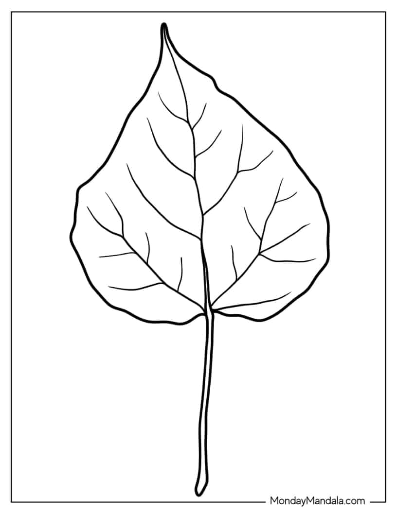 Lilac Leaf Coloring Page coloring page