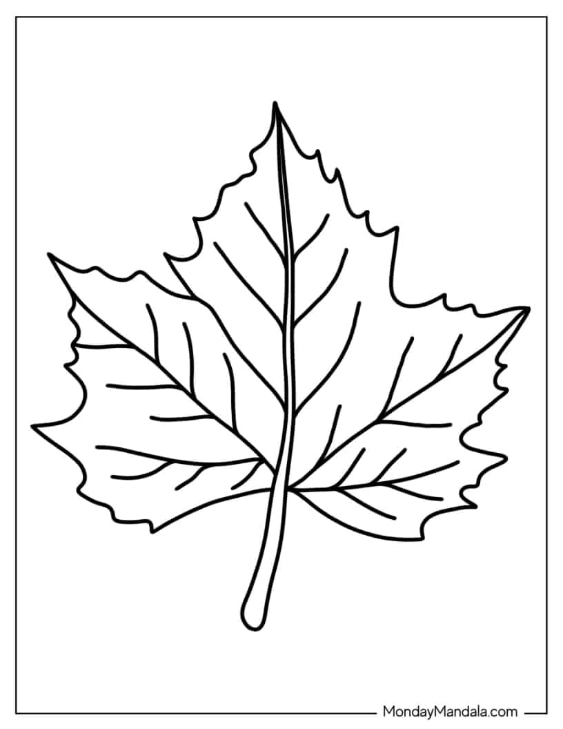 Maple Tree Leaf Coloring Page coloring page
