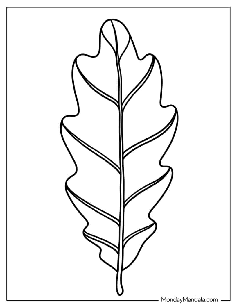 Oak Tree Leaf(1) coloring page