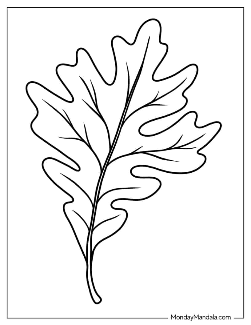Oak Tree Leaf coloring page